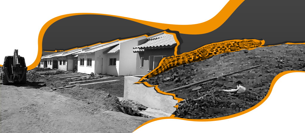 A imagem, em preto e branco com detalhes em laranja, é dividida em duas partes. Na esquerda, há um condomínio em construção. Aparecem três casas e uma retroescavadeira. Na direita, está a foto de um jacaré.
