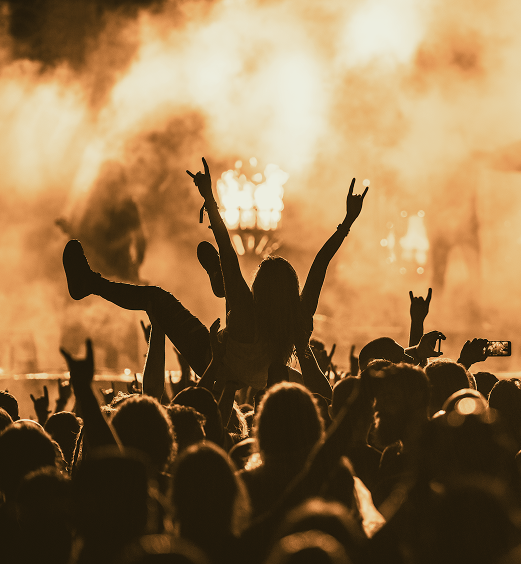 A imagem mostra o público de um show, que segura uma pessoa sobre suas cabeças. A imagem foi feita por trás, então só aparecem as silhuetas das pessoas.