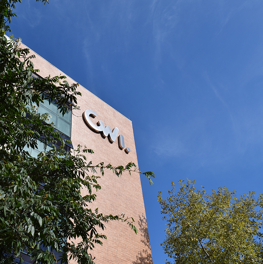 A imagem mostra o prédio da CWI visto de baixo. No fundo há um céu azul e, na frente, estão alguns galhos de árvore.